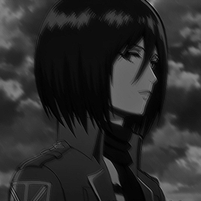 mikasa ackerman pfp 0031