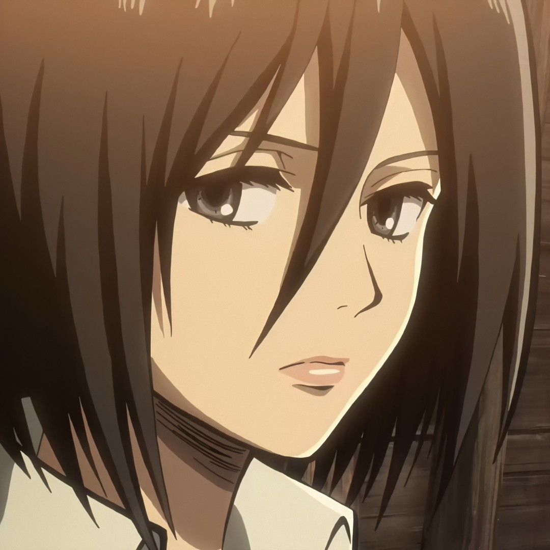 mikasa ackerman pfp 0034