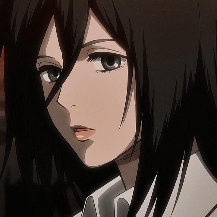 mikasa ackerman pfp 0039