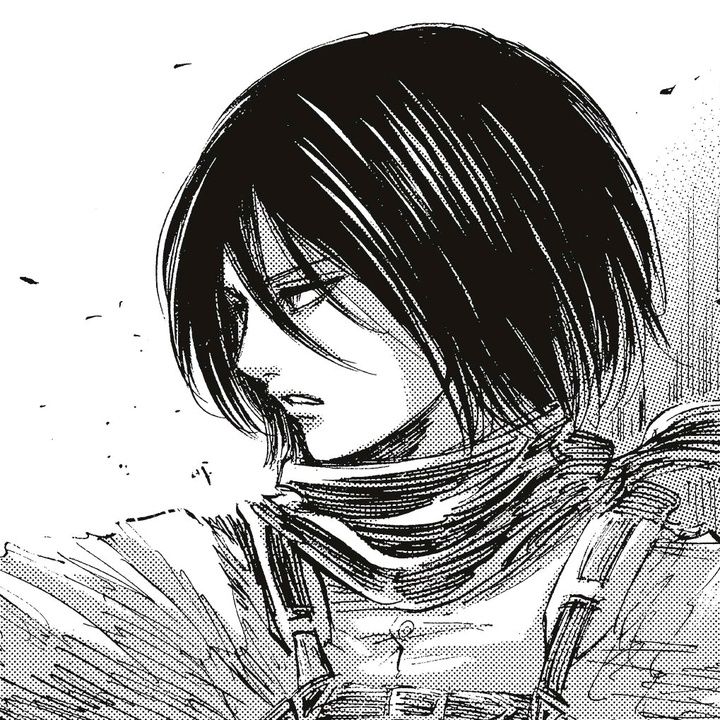 mikasa ackerman pfp 0040