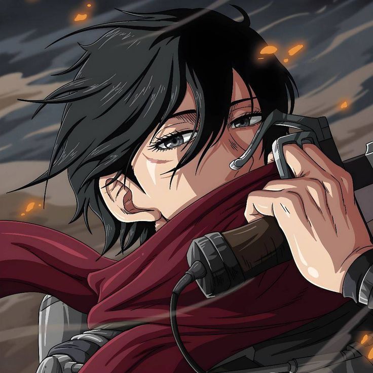 mikasa ackerman pfp 0041