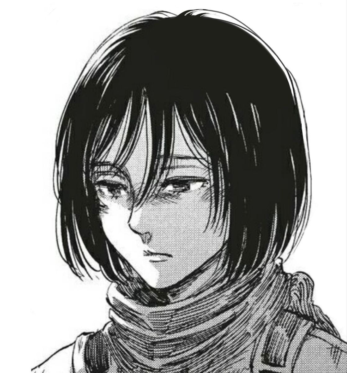 mikasa ackerman pfp 0047