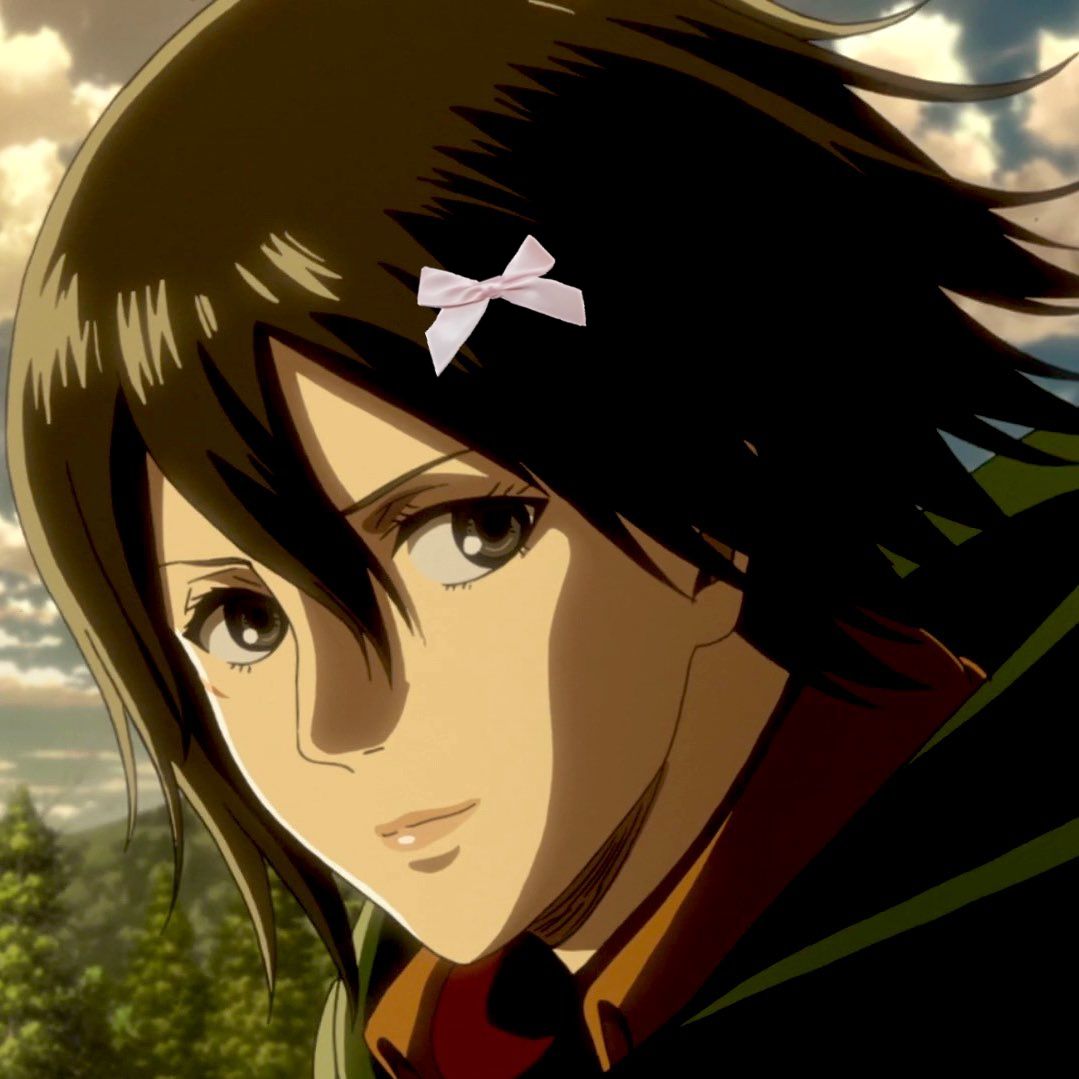 mikasa ackerman pfp 0048