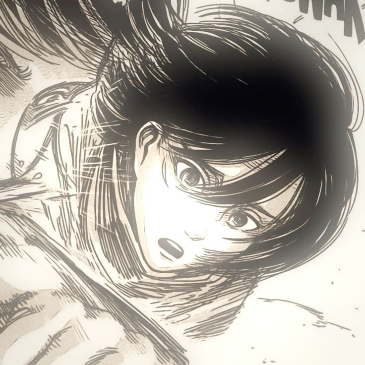 mikasa ackerman pfp 0053