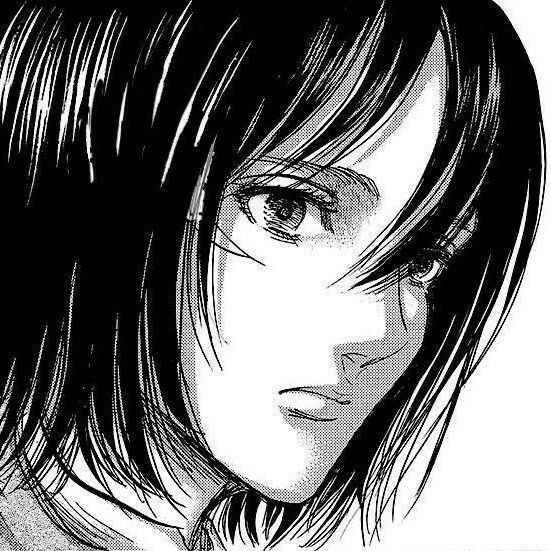 mikasa ackerman pfp 0057