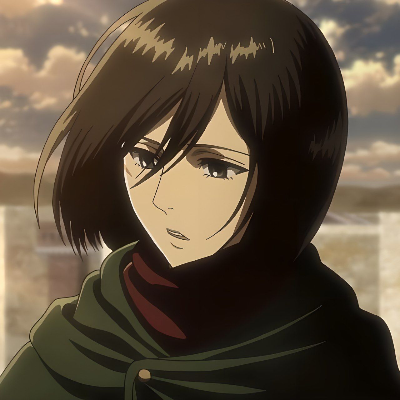 mikasa ackerman pfp 0058