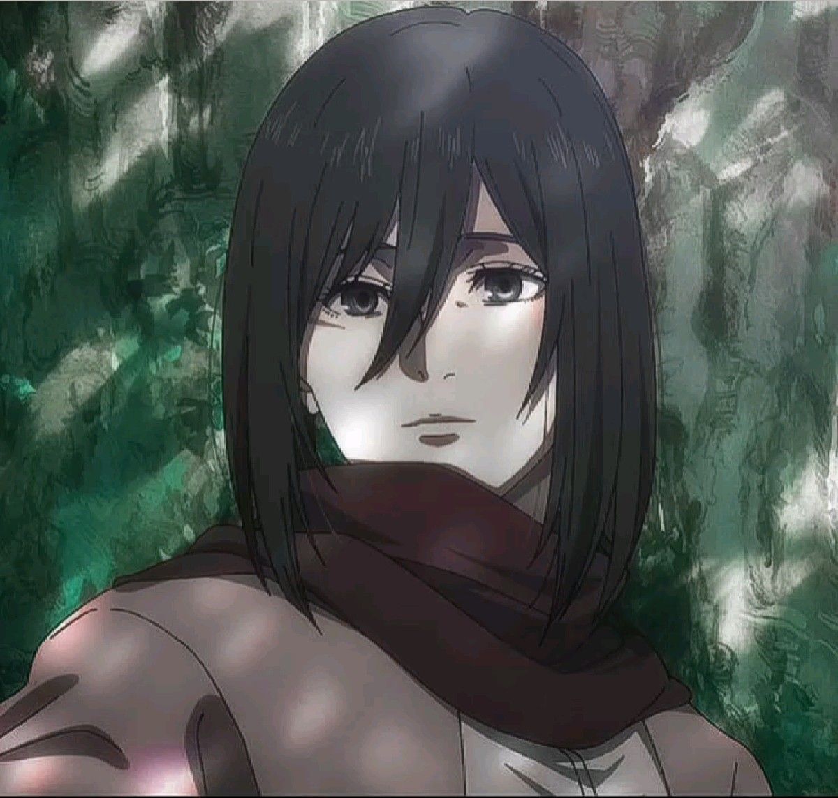 mikasa ackerman pfp 0063