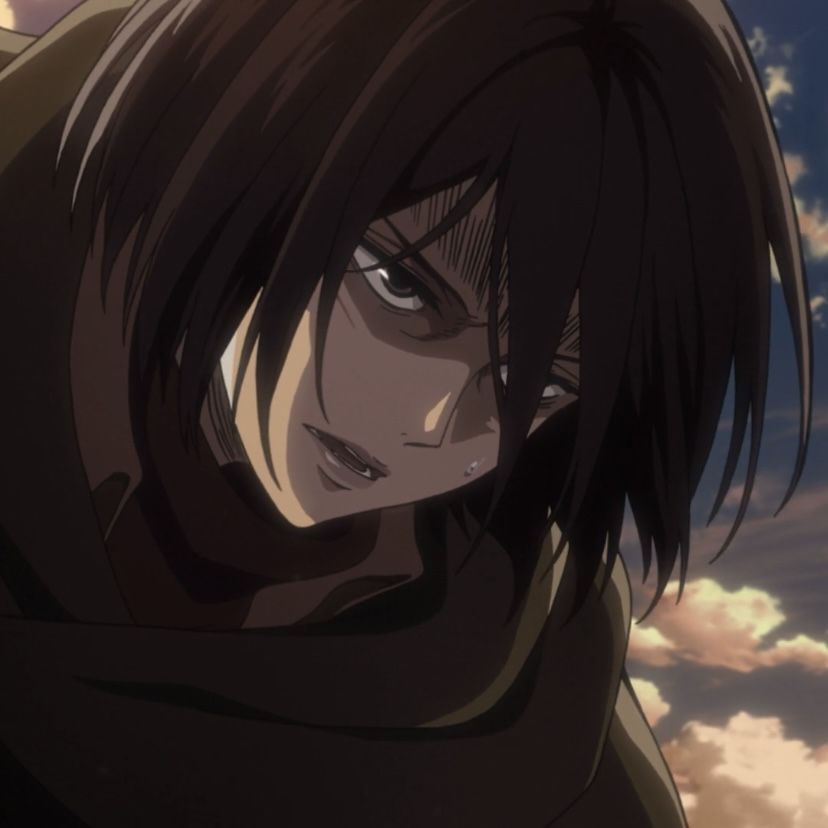 mikasa ackerman pfp 0064