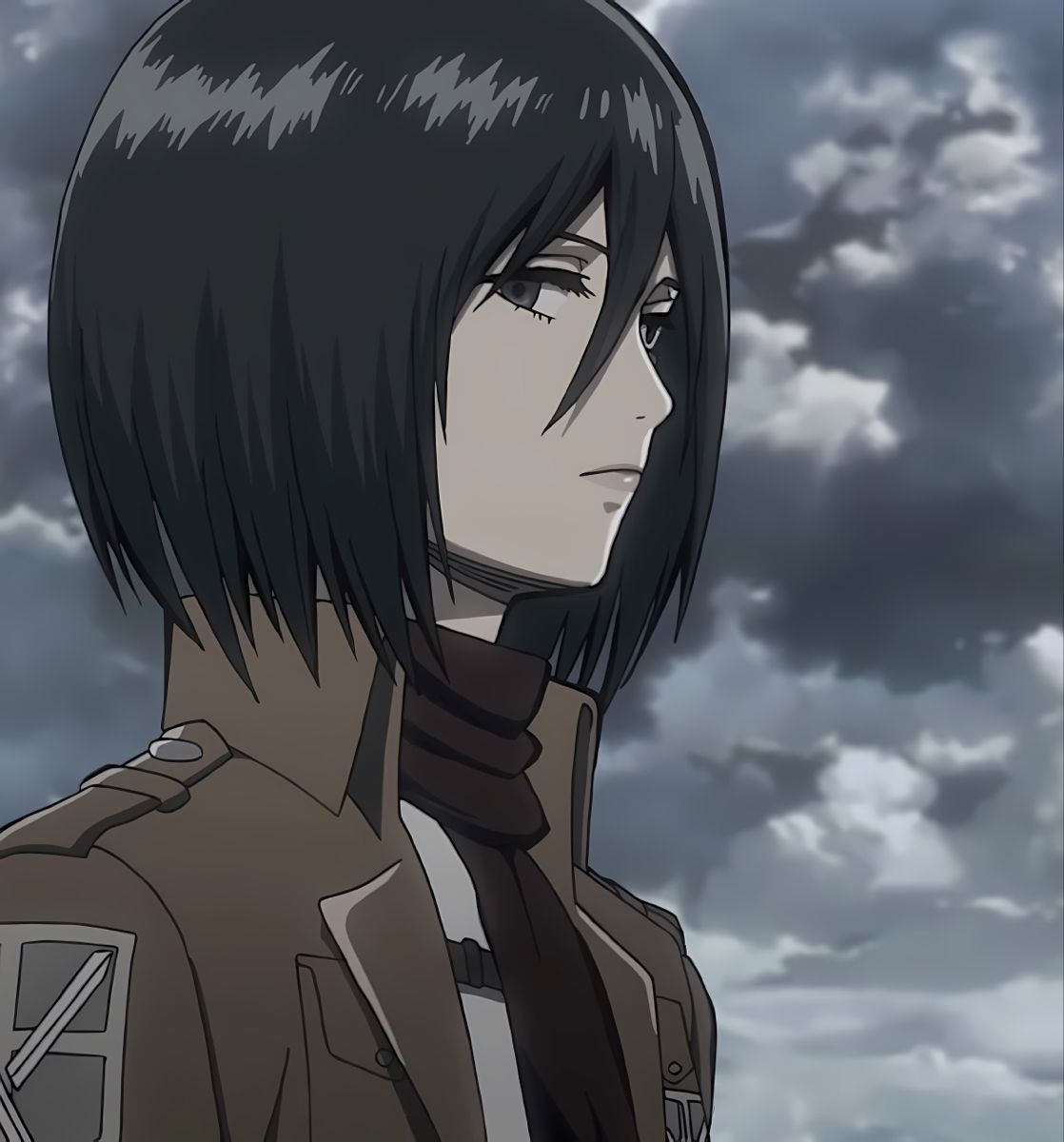 mikasa ackerman pfp 0067