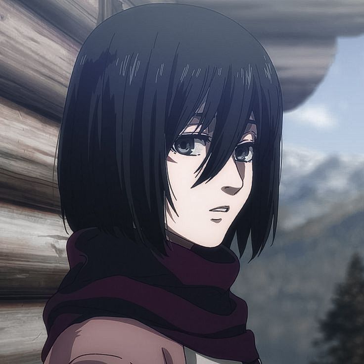 mikasa ackerman pfp 0070