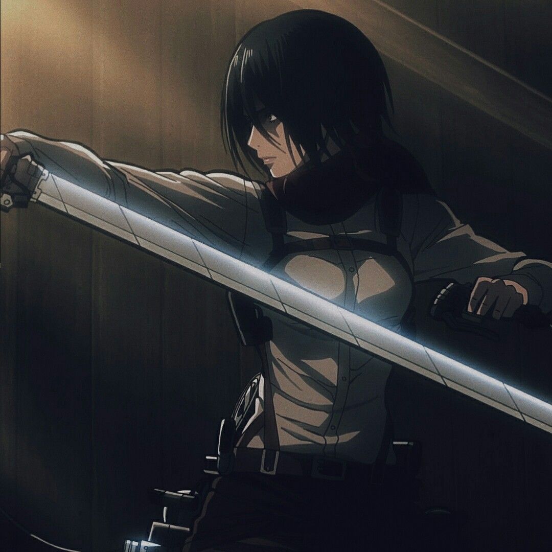 mikasa ackerman pfp 0076