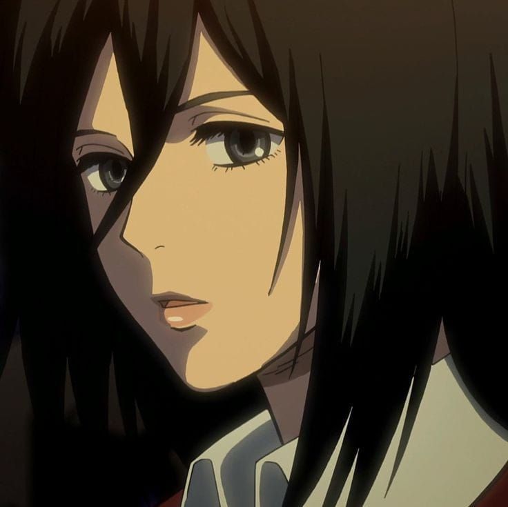 mikasa ackerman pfp 0080