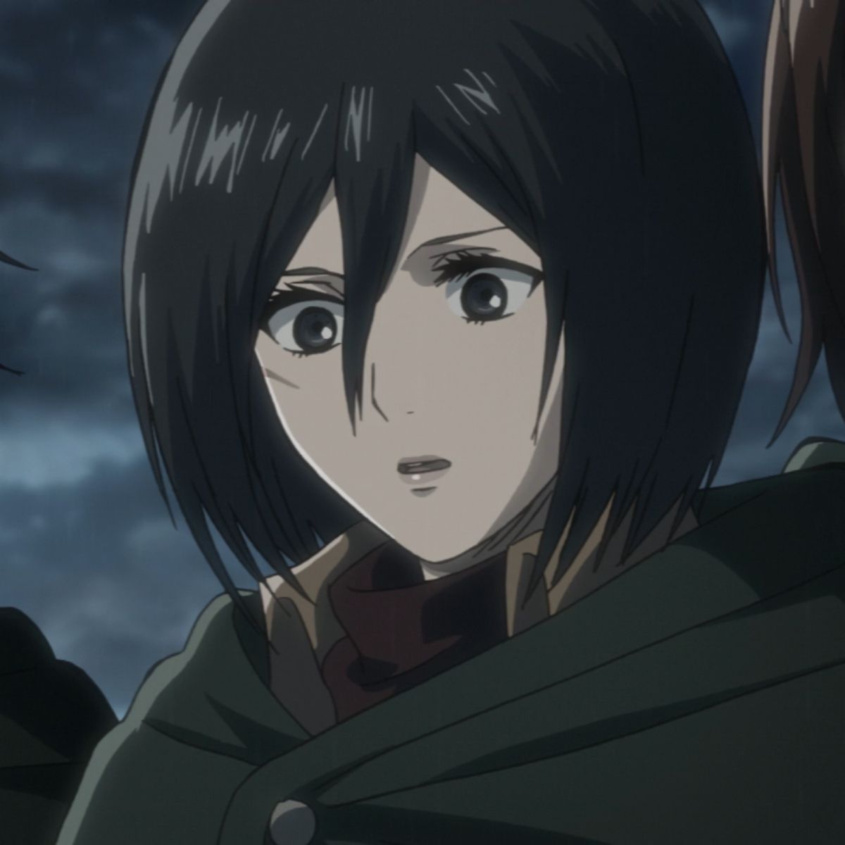 mikasa ackerman pfp 0085