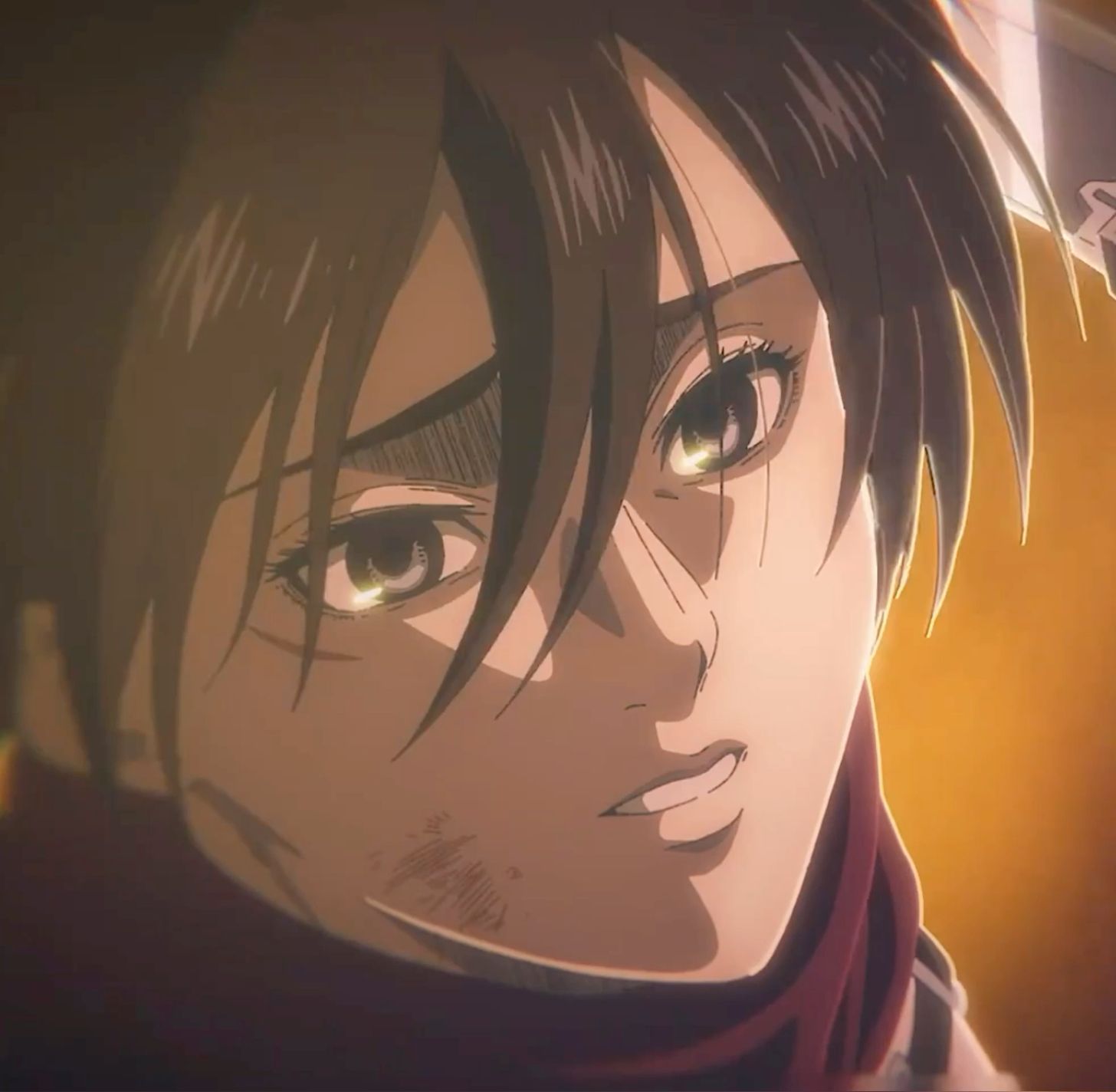 mikasa ackerman pfp 0086