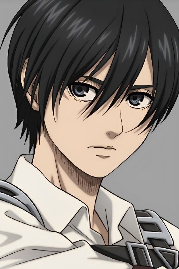 mikasa ackerman pfp 0087