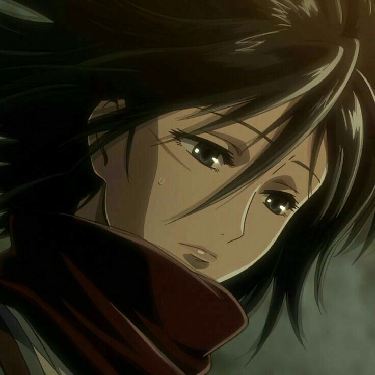 mikasa ackerman pfp 0091