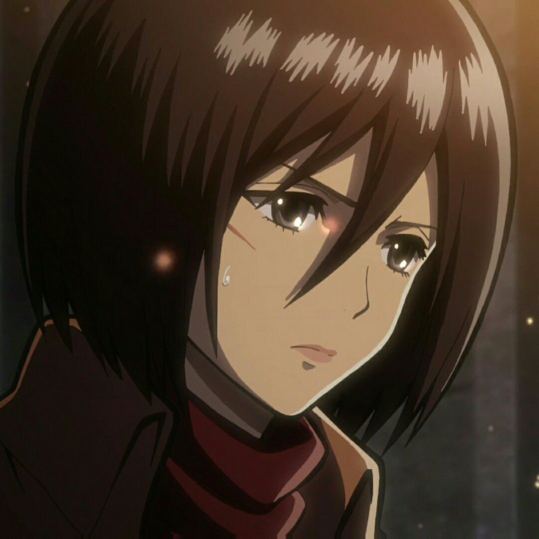 mikasa ackerman pfp 0097