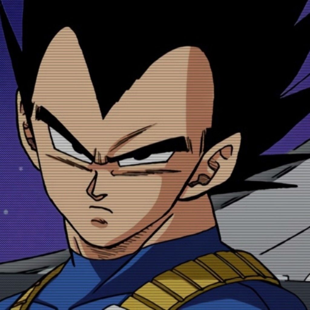 minimalist vegeta pfp looks