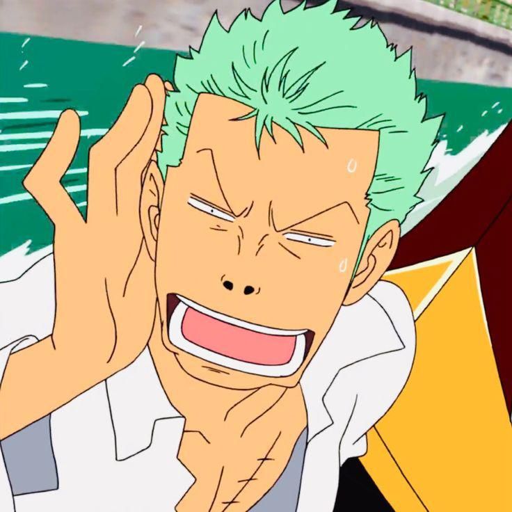 minimalistic zoro pfp