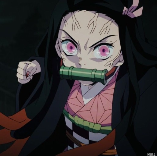 nezuko pfp 0085