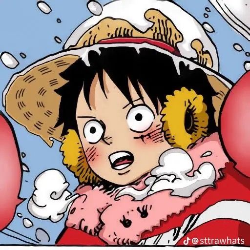 one piece christmas pfp 0090