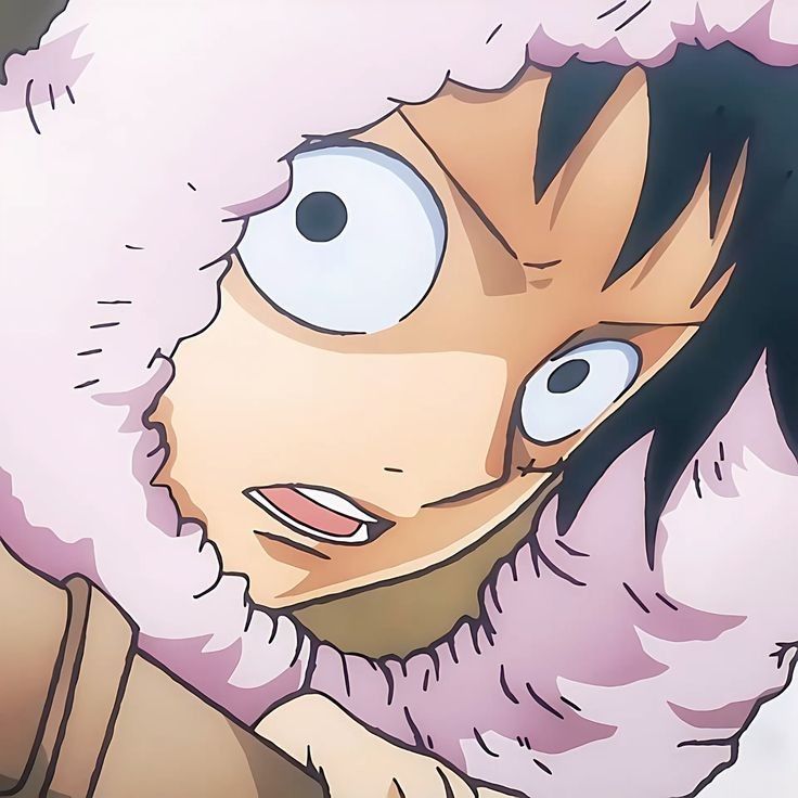 one piece pfp 0026