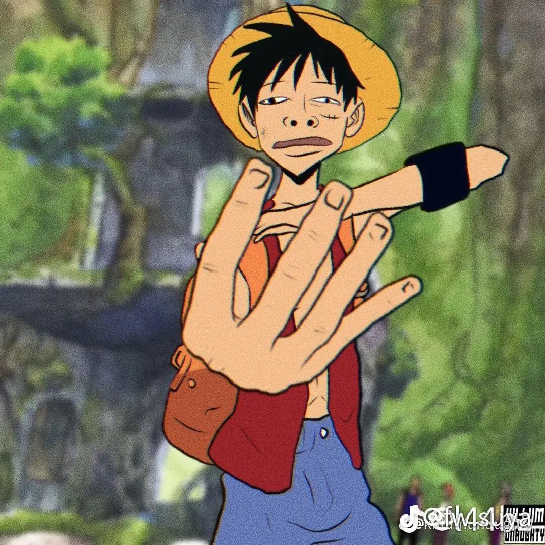 one piece pfp 0035