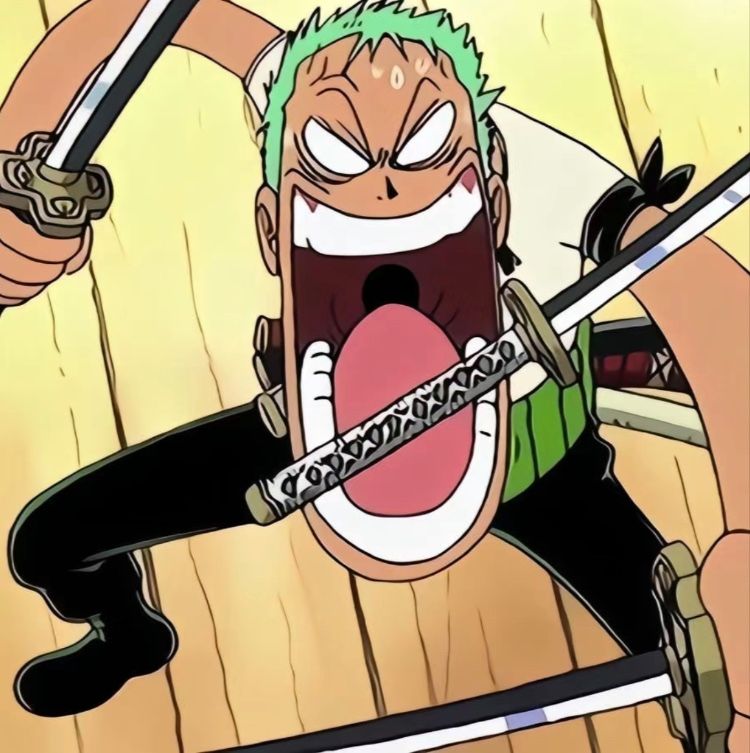 one piece pfp 0048