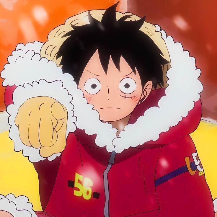 one piece pfp 0068