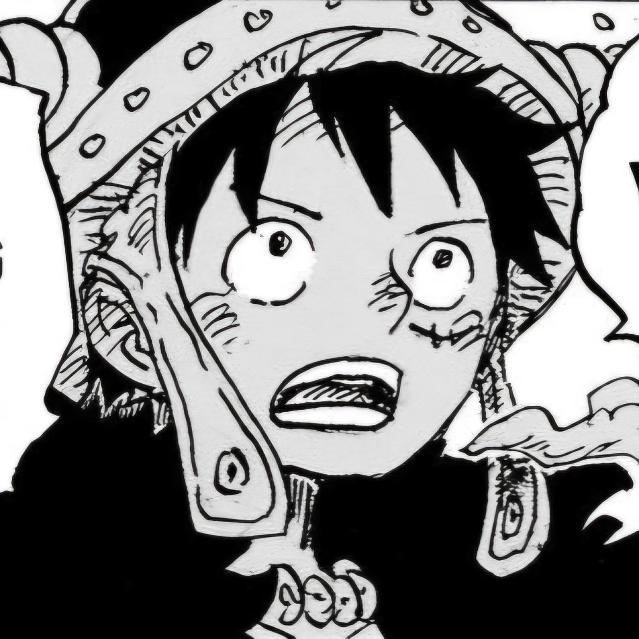 one piece pfp 0078