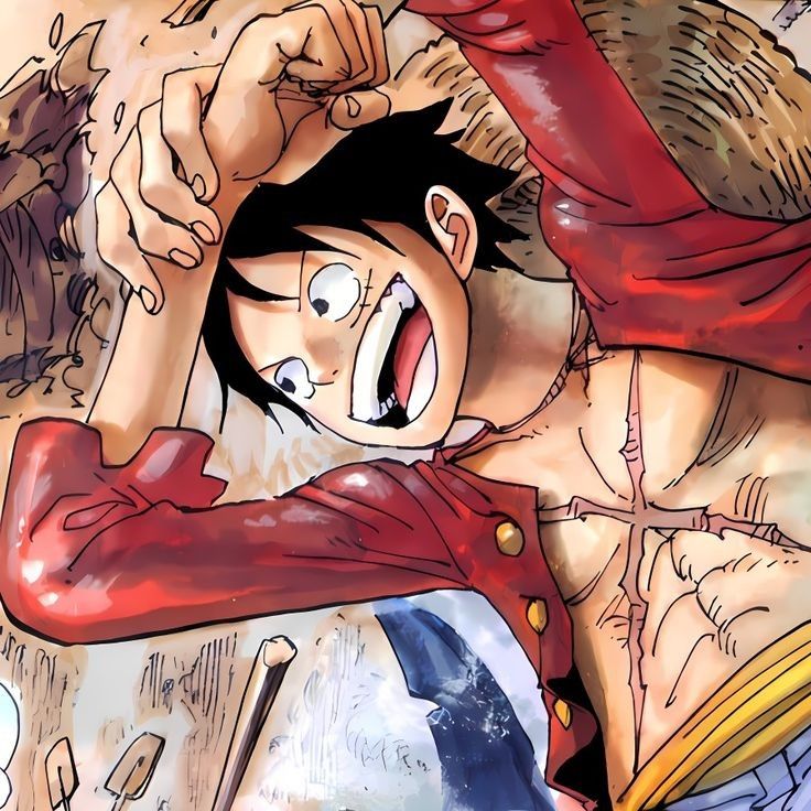 one piece pfp 0088