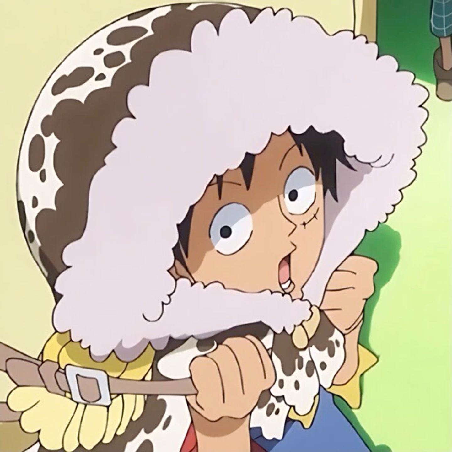 one piece pfp 0098