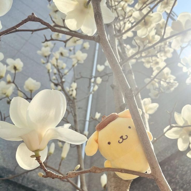 pompompurin pfp 0032