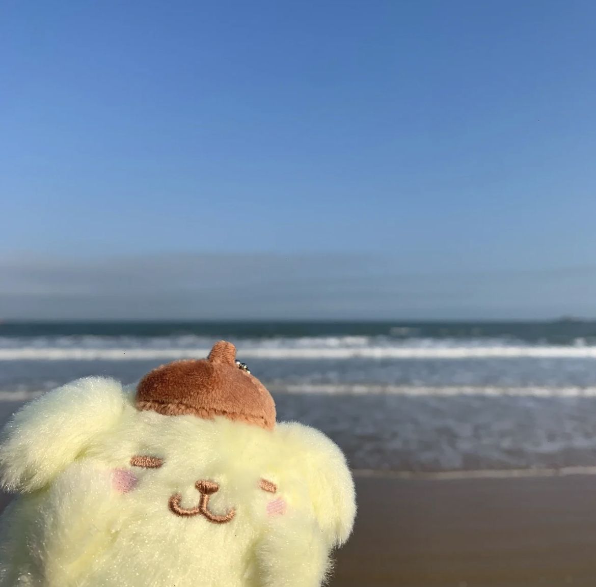 pompompurin pfp 0048