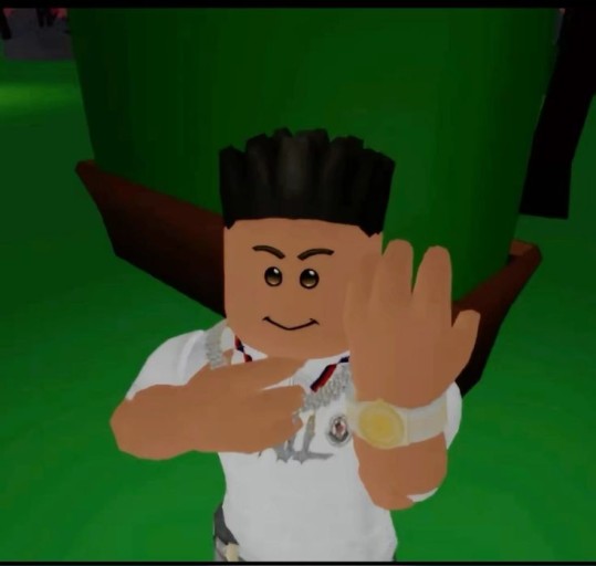 roblox pfp funny 0076