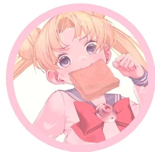 sailor moon pfp cartoon