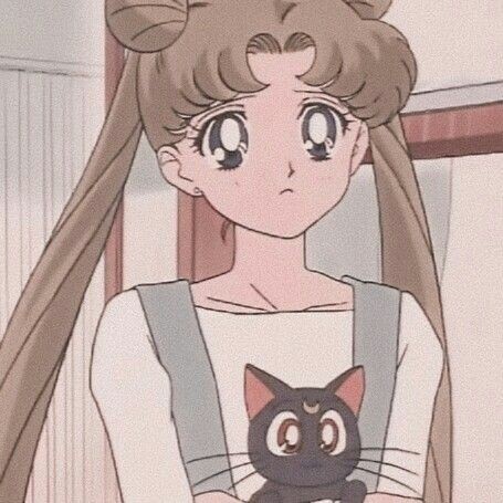 sailor moon pfp 0035