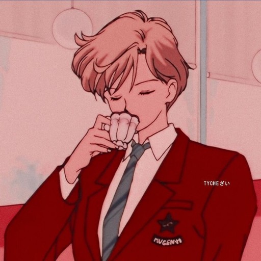 sailor moon pfp 0044