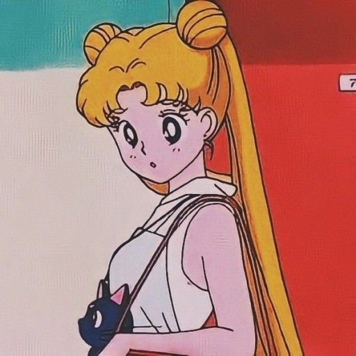 sailor moon pfp 0066