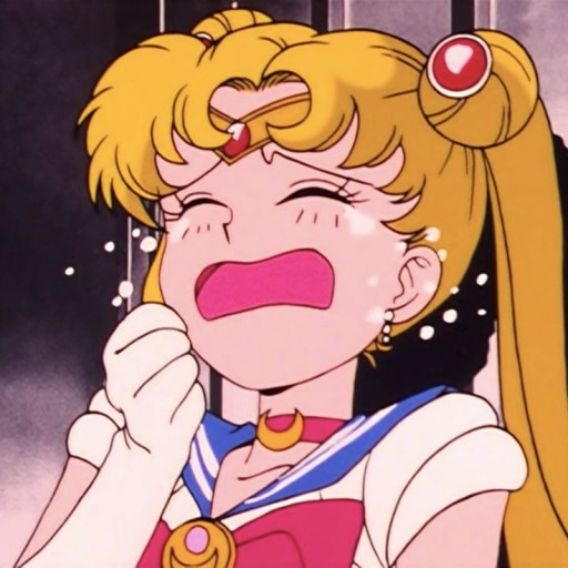 sailor moon pfp 0070