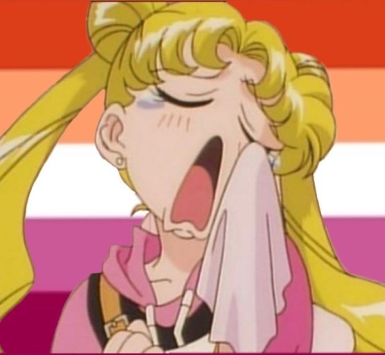 sailor moon pfp 0088