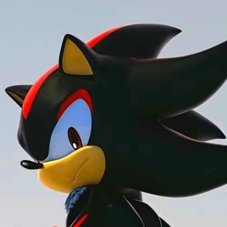 shadow the hedgehog pfp