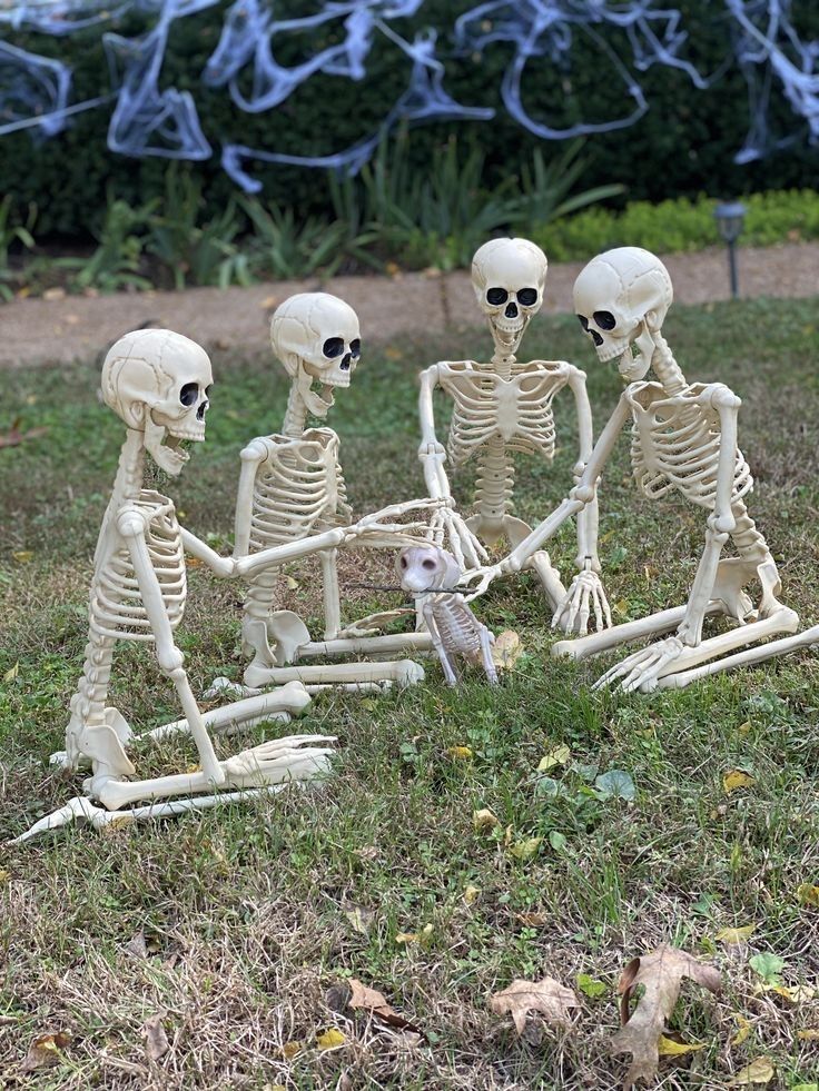 skeleton pfp 0025