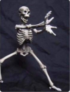 skeleton pfp 0048