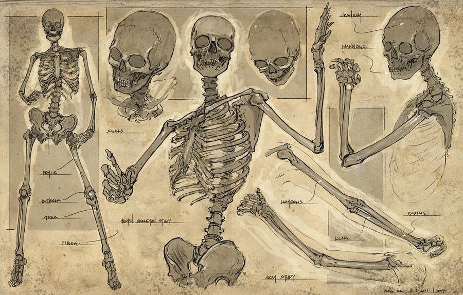 skeleton pfp 0063