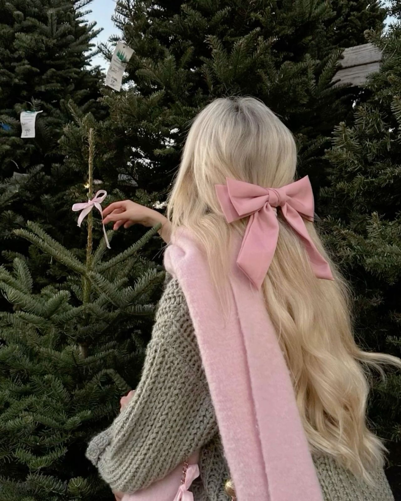 soft aesthetic christmas pfp 0075