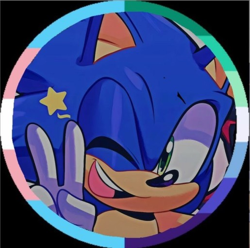 sonic pfp 0021