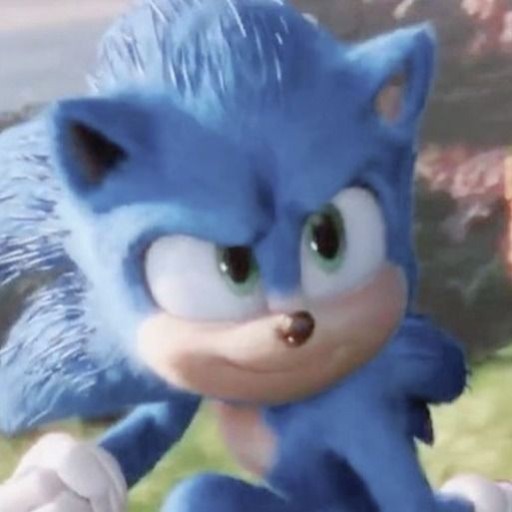 sonic pfp 0038