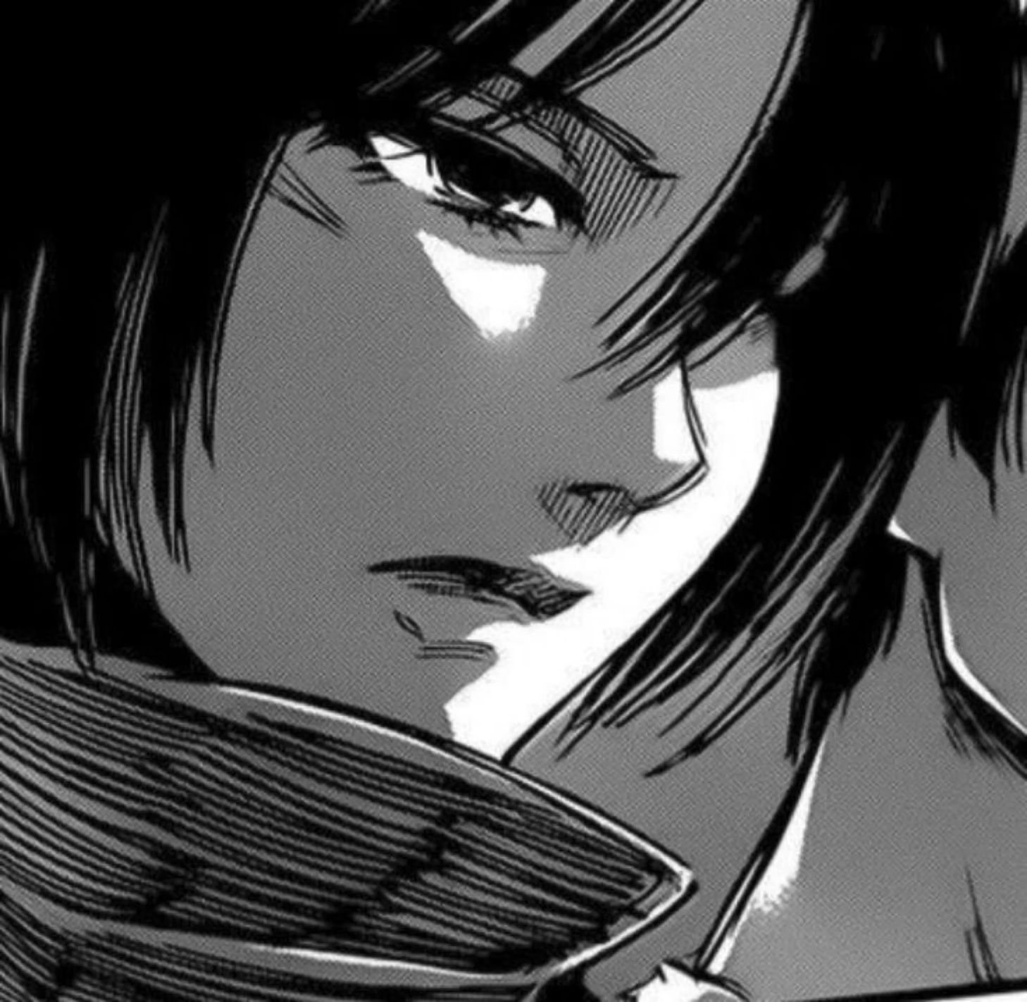 stylish mikasa ackerman pfp