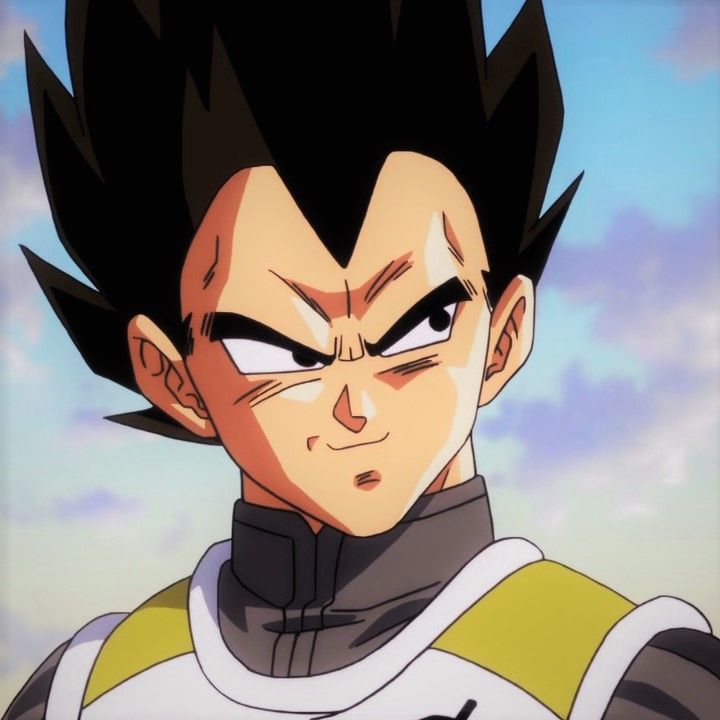 stylish vegeta pfp choices